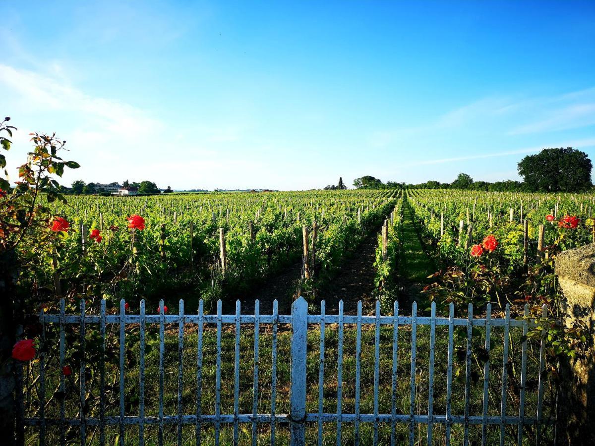 Apartamento La Maison Des Vignes Saint Emilion Exterior foto